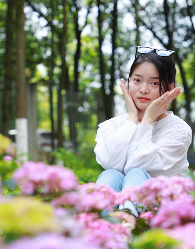 6、欣賞繡球花。