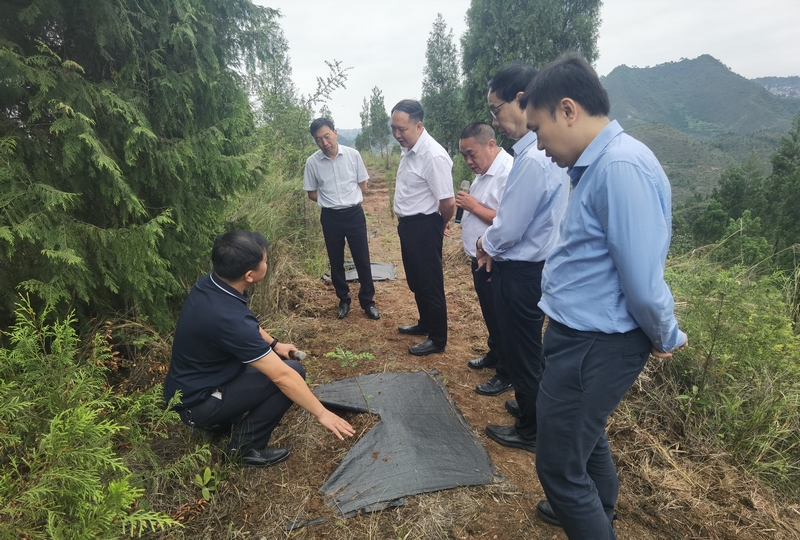 圖片1與會人員參觀黃平縣谷隴鎮(zhèn)巖門司村退化林修復(fù)項(xiàng)目。