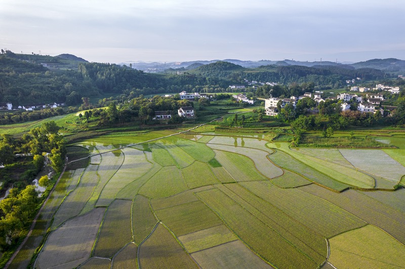 貴州黔西：仲夏田園美如畫(huà)。