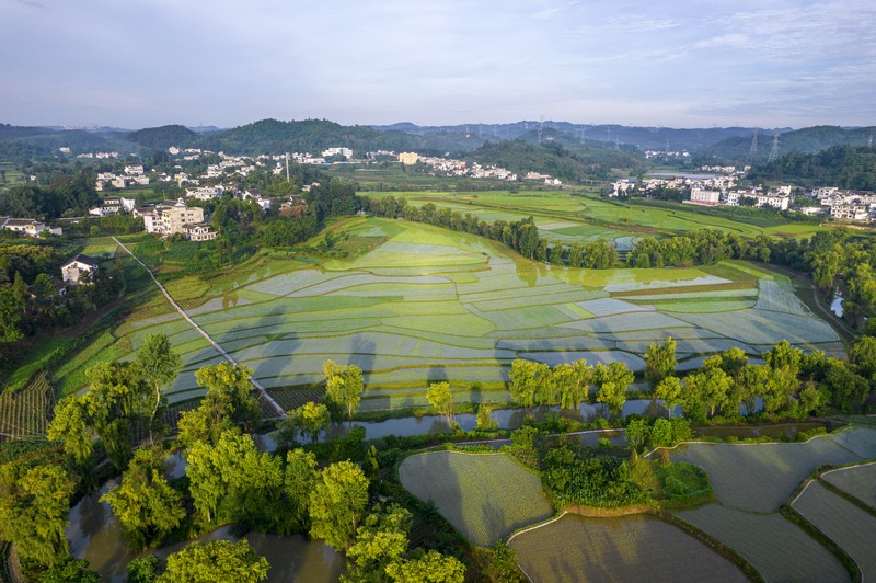貴州黔西：仲夏田園美如畫(huà)。