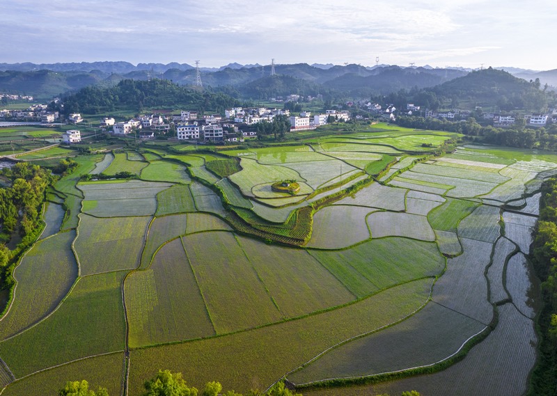 貴州黔西：仲夏田園美如畫(huà)。