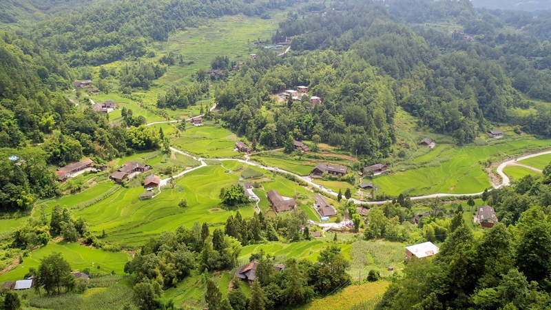 梧桐山民宿俯瞰圖景