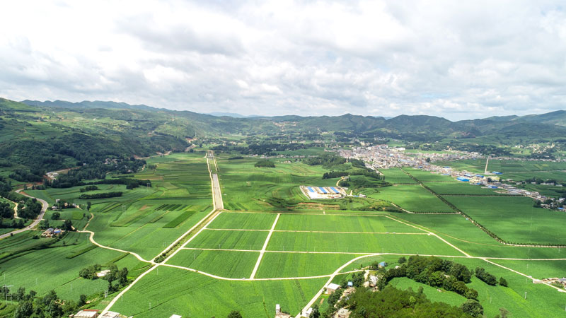 畢節(jié)市威寧縣秀水煙區(qū)。