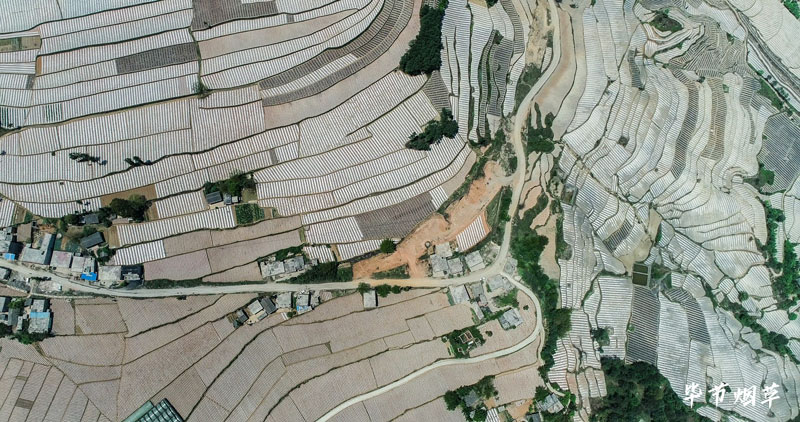 畢節(jié)市威寧縣云貴基地單元。