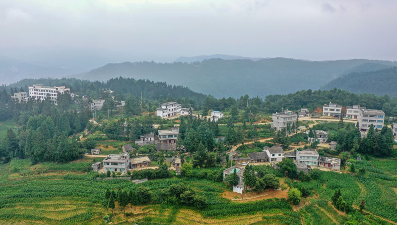 掩映在綠樹叢中的平山鎮(zhèn)農(nóng)莊村。李學友攝