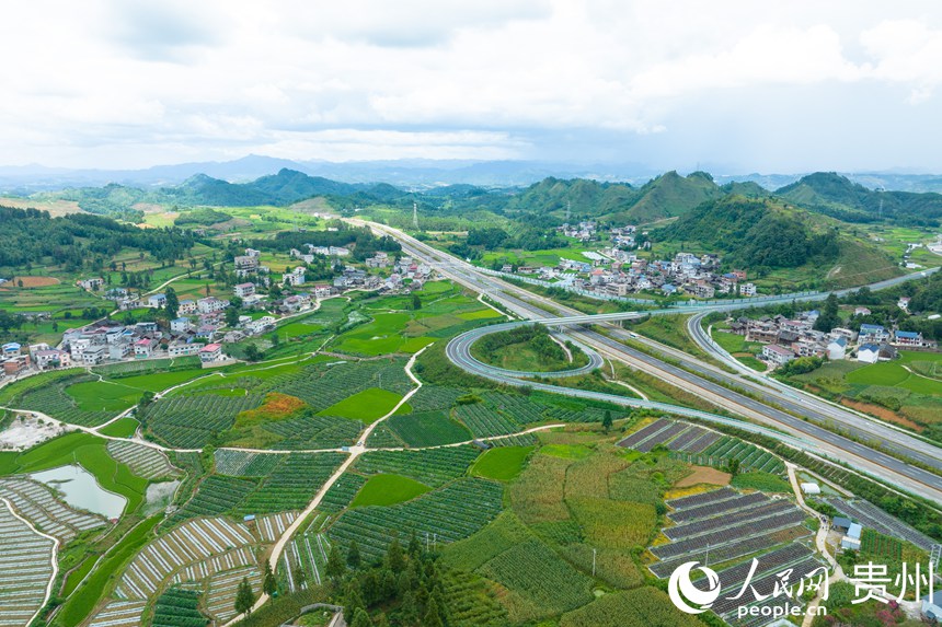 向新黔行｜貴州麻江：拎穩(wěn)“菜籃子” 保供大灣區(qū)