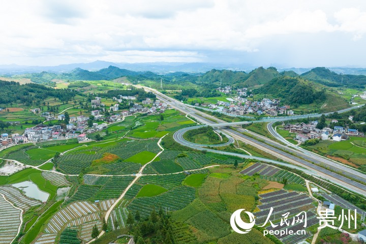 航拍甲樹村蔬菜種植基地。人民網(wǎng) 陽茜攝