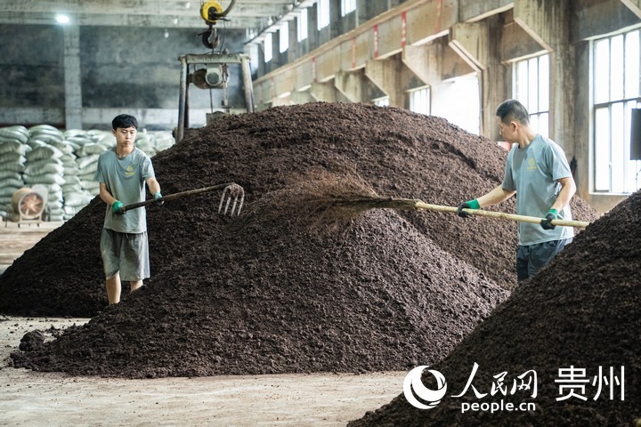 木黃酒業(yè)制酒車間內(nèi)一派繁忙景象。人民網(wǎng) 陽(yáng)茜攝