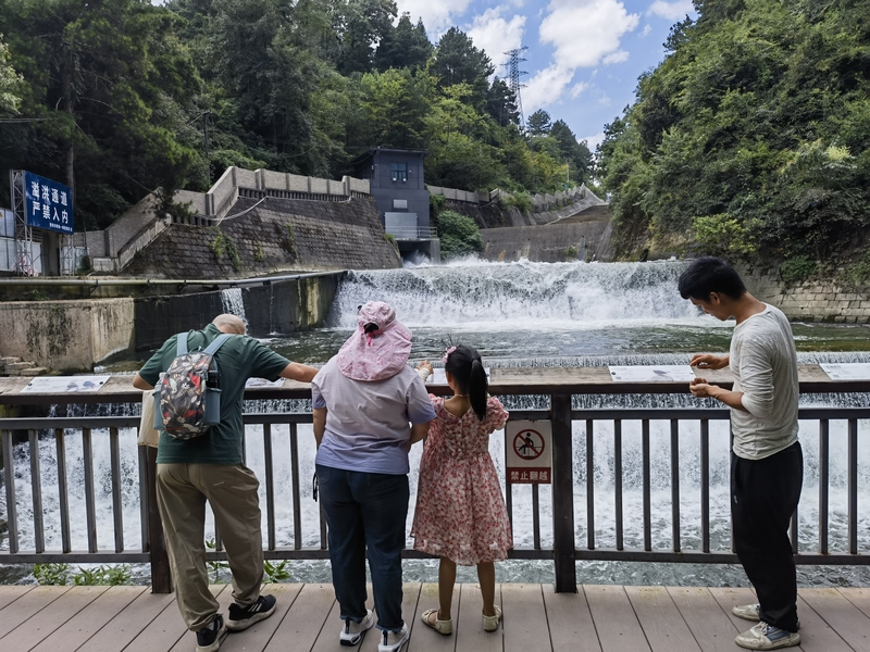 貴陽阿哈湖國家濕地公園的動植物有了“身份卡” 。張海波拍攝 (8)