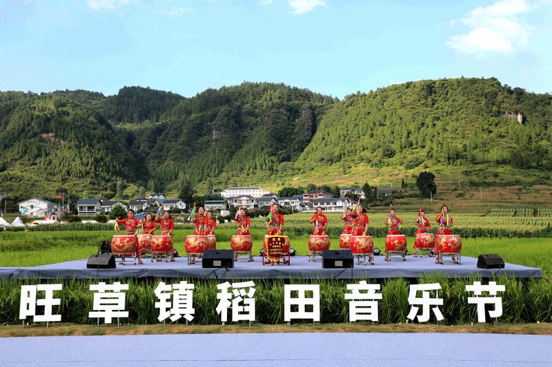 1 圖為8月8日，“青春遇見貴州·聽得見的稻田”綏陽縣旺草鎮(zhèn)2024年稻田音樂節(jié)開幕式現(xiàn)場(chǎng)。 王嬋娟 攝