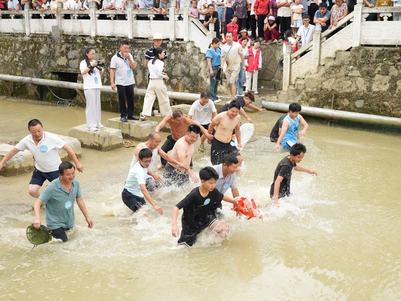 1、游客們下水捉魚