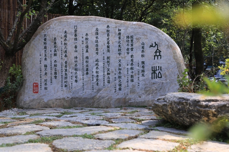 4喬松園