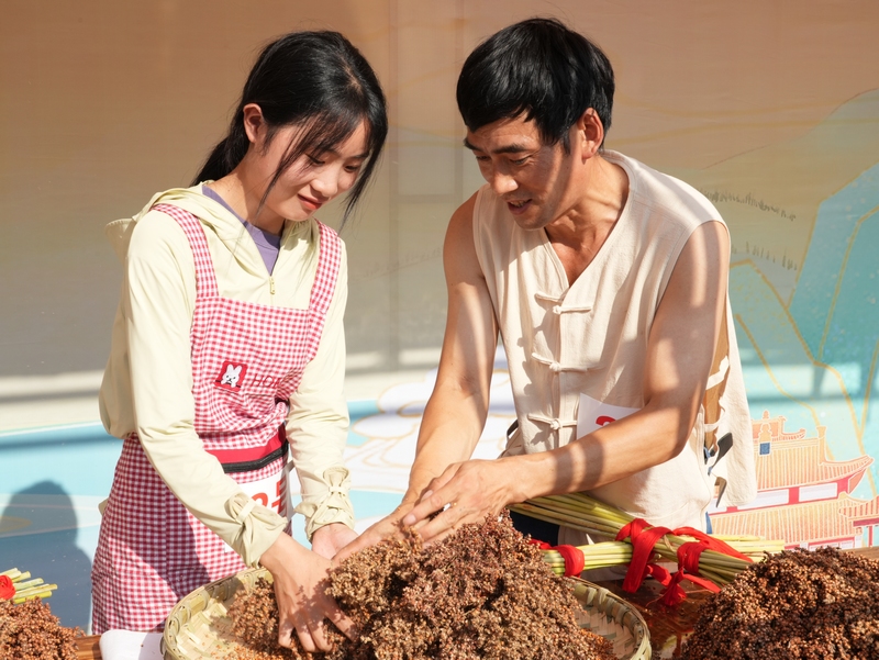 3、賽高粱現(xiàn)場農(nóng)戶正在手搓脫粒