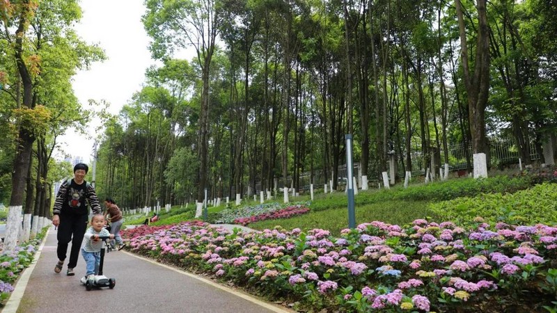 6、市民在“繡球園”享受親子時(shí)光.jpg