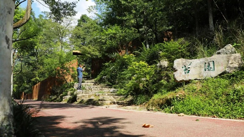7、口袋公園“苔園”。.jpg