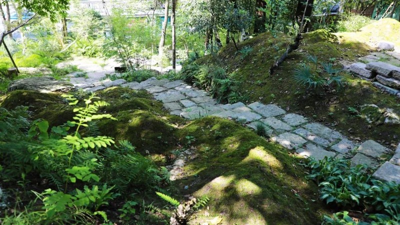8、以苔蘚造景，是“苔園”的特色之一。.jpg