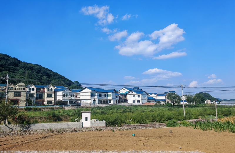 美麗鄉(xiāng)村畫卷。沈建華 攝