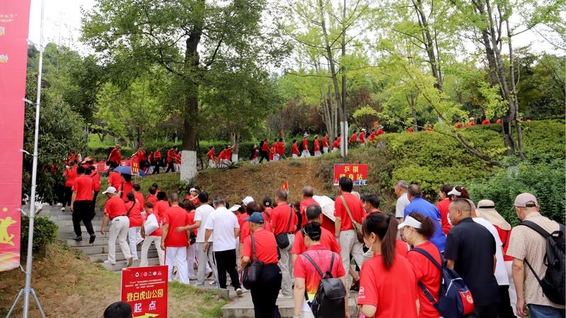 “開心快樂健身站”“龍場街道健身站”“健身球健身站”等32支隊伍近1000名老年朋友身著運動衣，精神矍鑠，參與活動。文俊入攝
