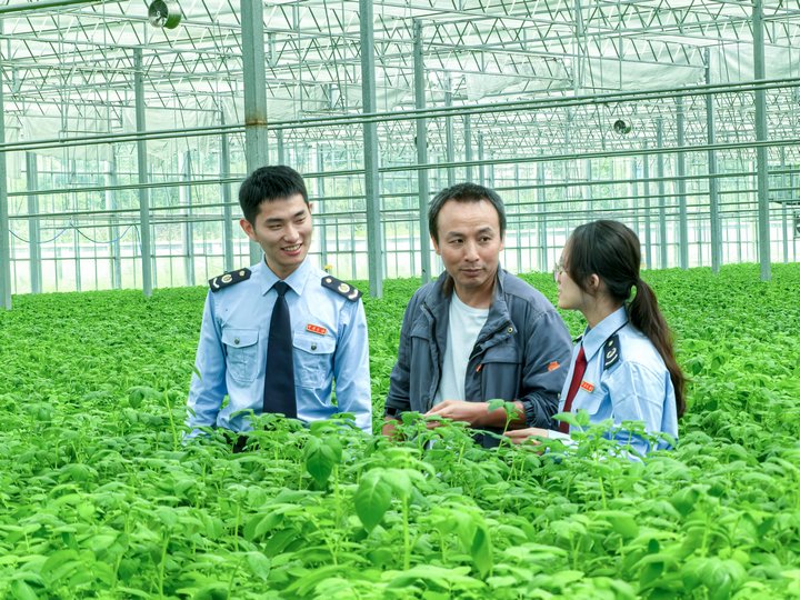 圖為稅務(wù)干部在企業(yè)了解土豆種子的生產(chǎn)情況。童霖?cái)z