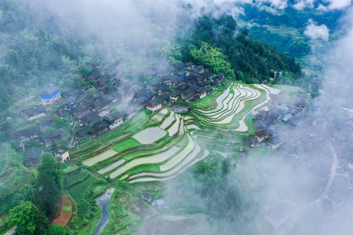 仙境怎雷。