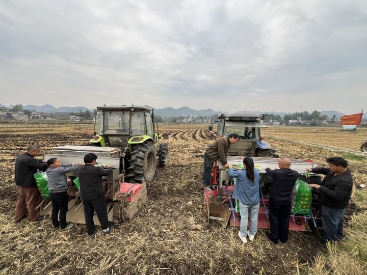 村民將油菜種子和肥料裝入農(nóng)機(jī)。