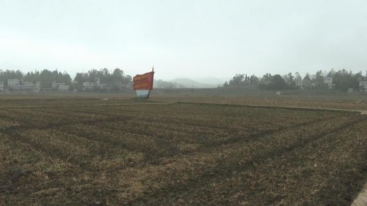 甕安縣平定營(yíng)鎮(zhèn)梭羅村梭羅大壩已機(jī)耕播種好的油菜。