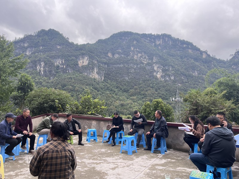 圖為：縣文旅局到南江鄉(xiāng)查看旅居謀劃項(xiàng)目