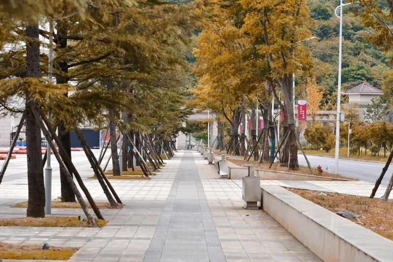 秋意濃！貴州理工學(xué)院校園美景如畫。