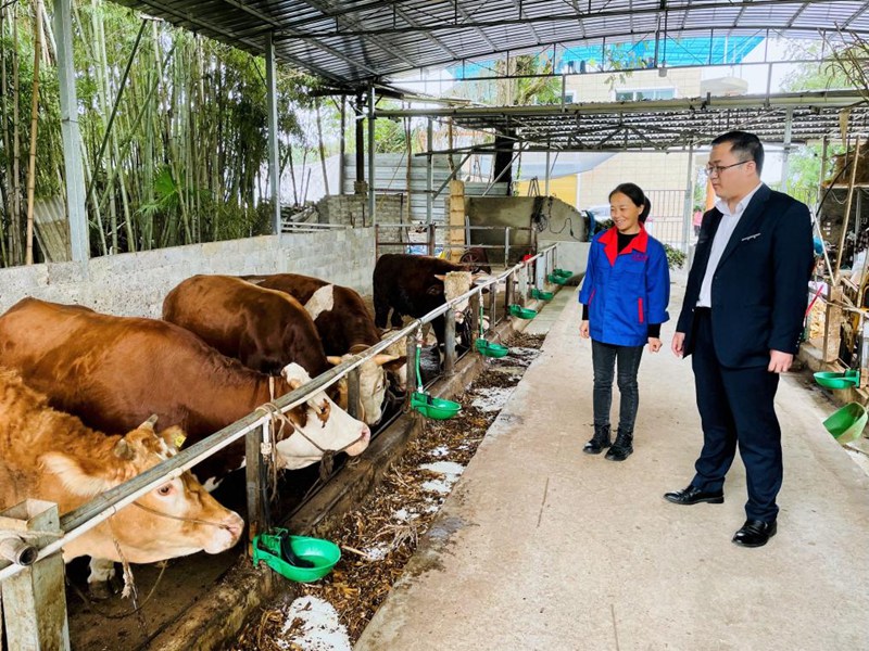 工行遵義鳳岡支行客戶經(jīng)理回訪李大姐。