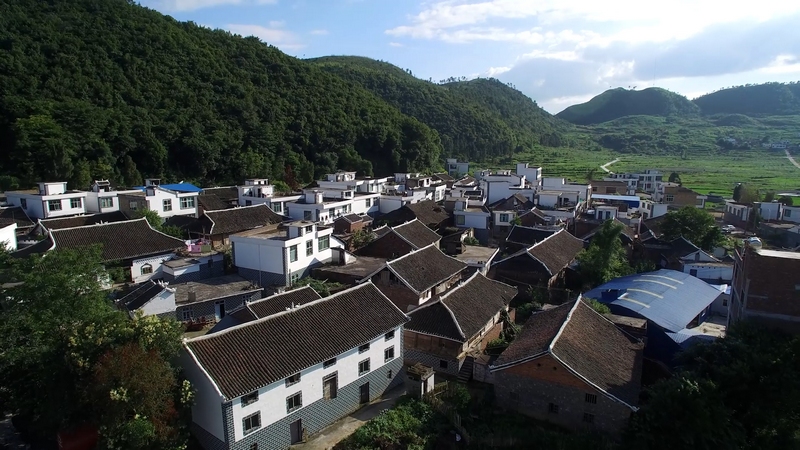 美麗新農(nóng)村