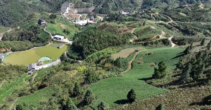位于雷公山腹地的腳堯村風(fēng)景優(yōu)美、生態(tài)優(yōu)良。