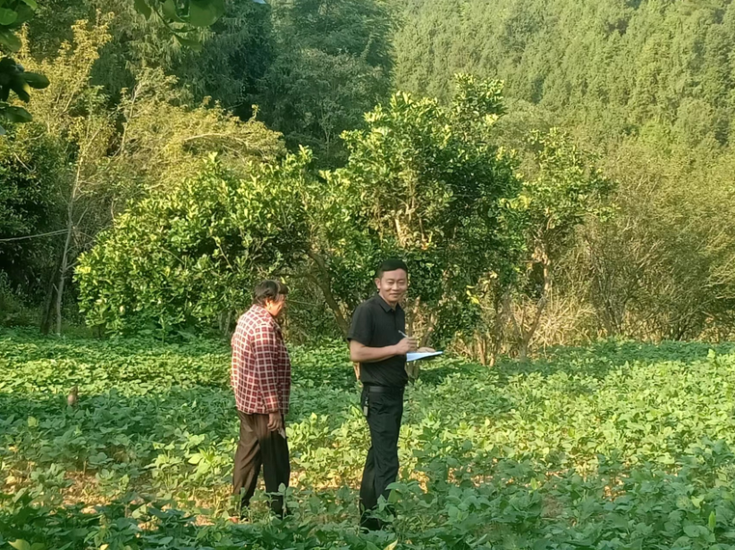 檬子村駐村工作隊(duì)正為村民講解今年種養(yǎng)殖產(chǎn)業(yè)獎(jiǎng)補(bǔ)到賬情況。