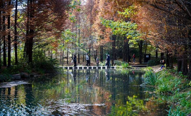 11月17日,市民在貴州省六盤水市明湖國家濕地公園內(nèi)游覽(1)（趙樺 攝）