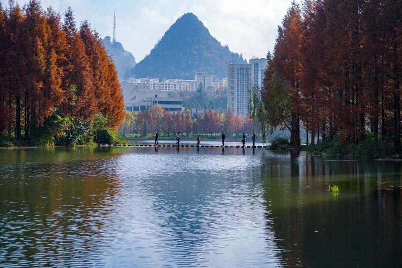 11月17日,市民在貴州省六盤水市明湖國家濕地公園內(nèi)游覽(2)（趙樺 攝）