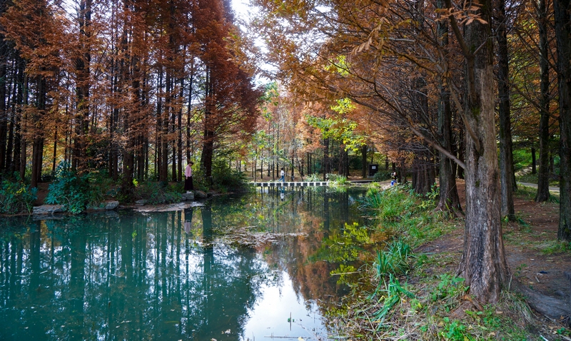 11月17日,市民在貴州省六盤水市明湖國家濕地公園內(nèi)游覽(3)（趙樺 攝）