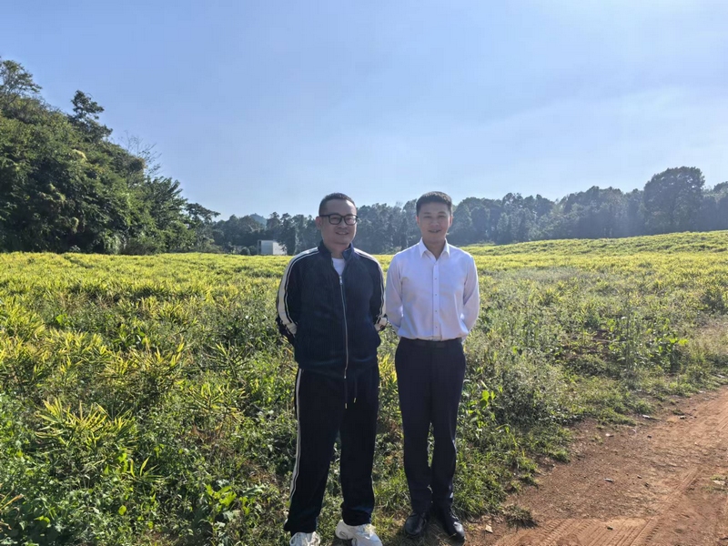 工行興義桔山支行客戶經(jīng)理走訪生姜種植基地