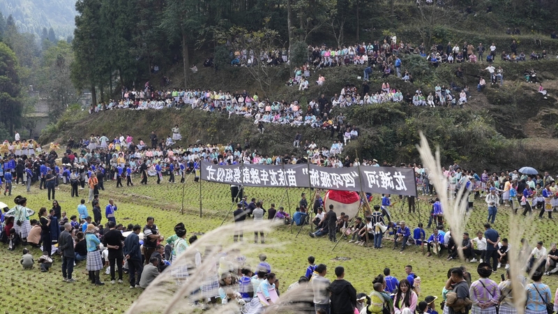清鎮(zhèn)市麥格鄉(xiāng)龍灘村舉行苗族祭鼓節(jié)。