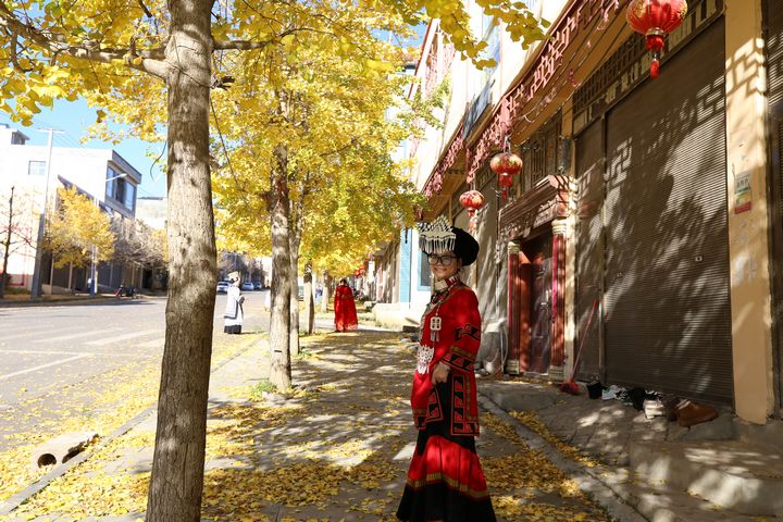在云上結(jié)構(gòu)，金黃的銀杏、藍天、白云、身著民族服飾的人們，共同繪就了唯美畫卷。湯斌攝