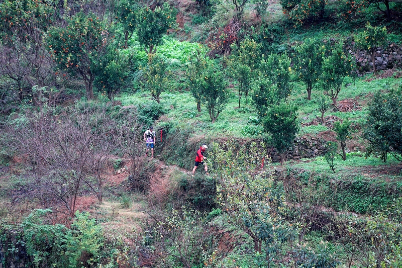 “奔跑貴州”山地跑系列賽暨第二屆貴州織金洞精英穿越挑戰(zhàn)賽開賽。