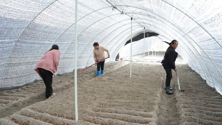 村民正在基地里覆土。彭開燚攝