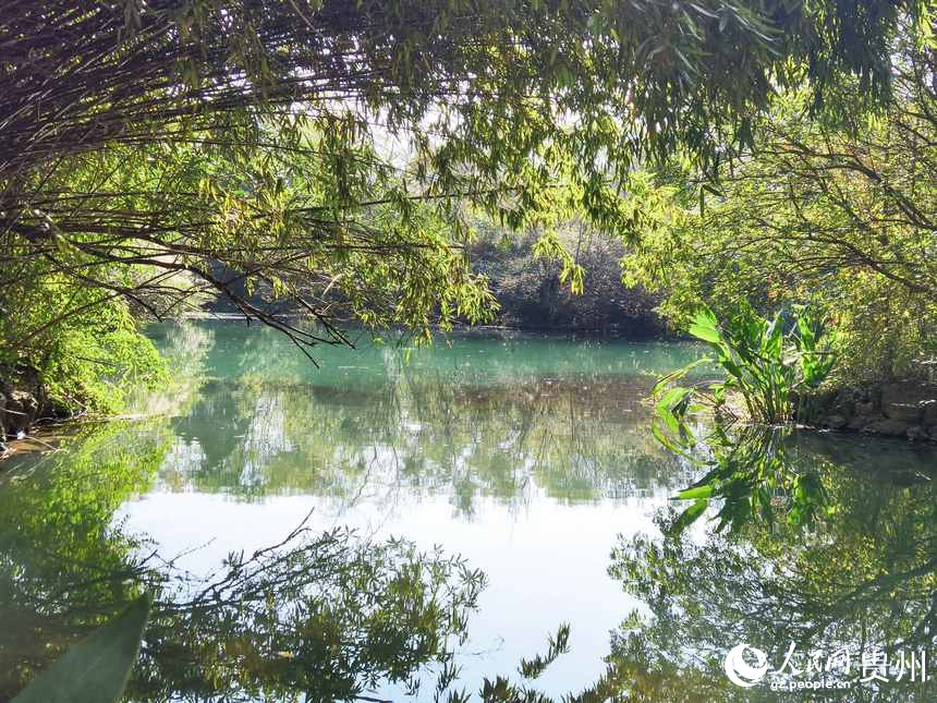 花溪公園一隅。人民網(wǎng)記者 王秀芳攝