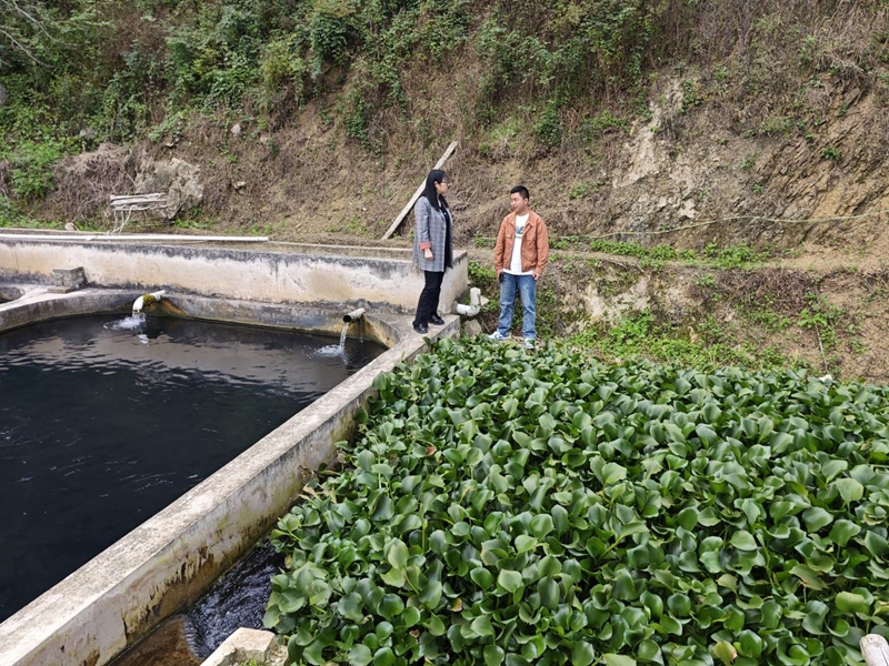圖為：到養(yǎng)殖基地查看情況 （王斌 攝）