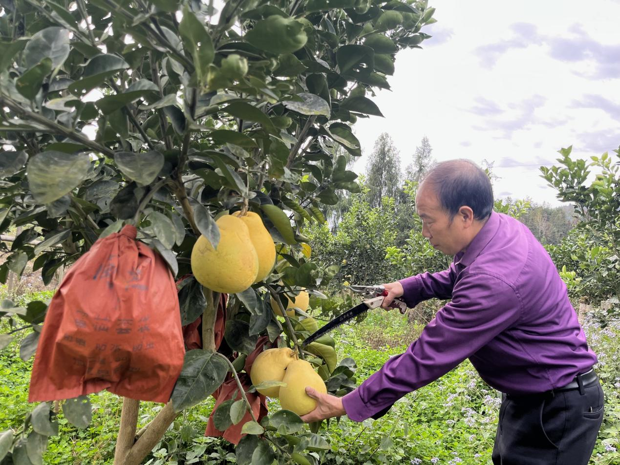 銅仁培育壯大家庭農(nóng)場 激發(fā)鄉(xiāng)村振興新活力。