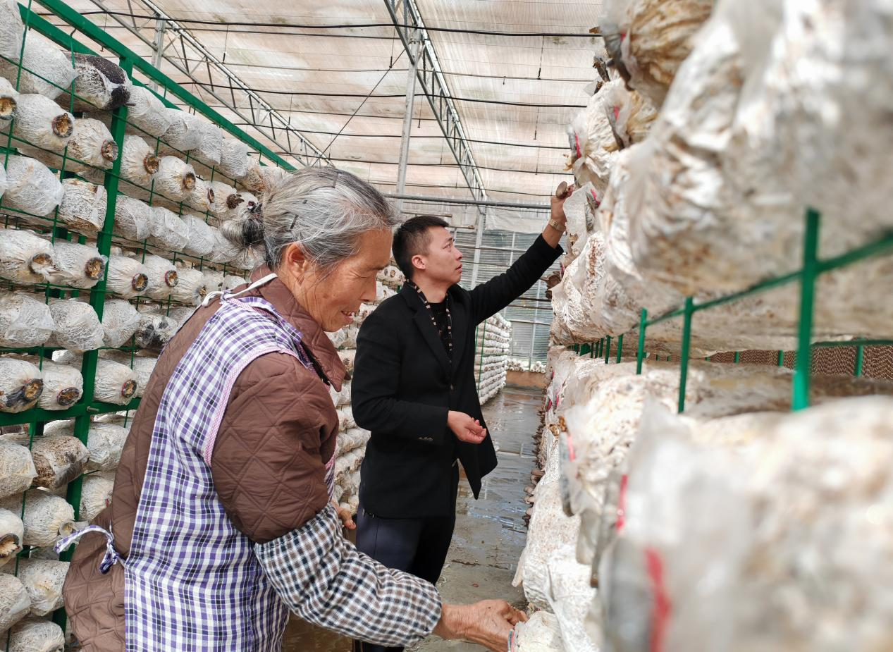 銅仁培育壯大家庭農(nóng)場 激發(fā)鄉(xiāng)村振興新活力。