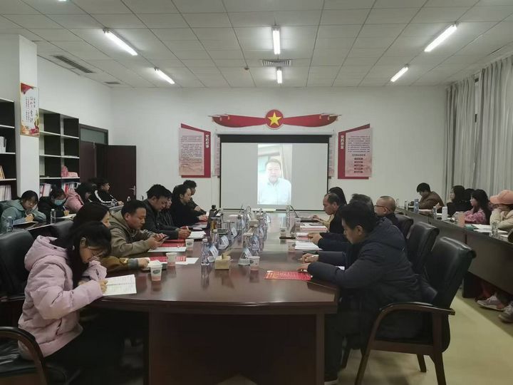 與會(huì)專(zhuān)家線上發(fā)言。
