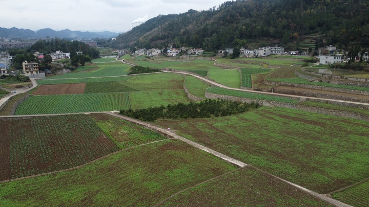 金沙建設(shè)高標(biāo)準(zhǔn)農(nóng)田 夯實農(nóng)業(yè)發(fā)展“耕”基 。