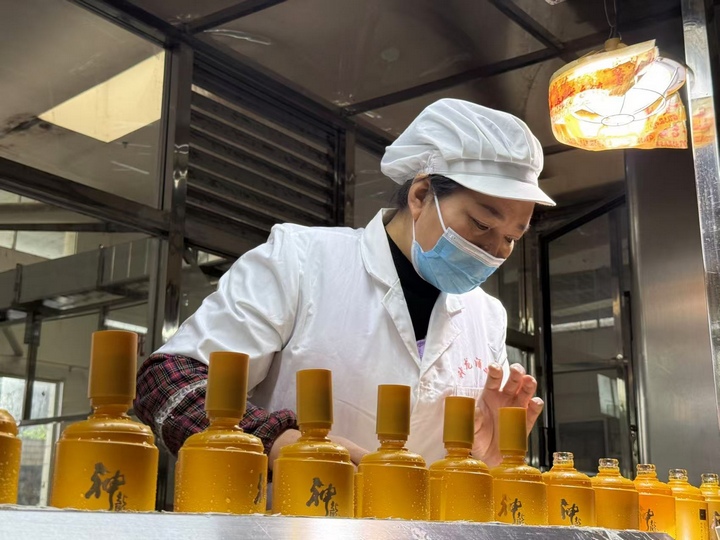 神龍酒業(yè)包裝工人在給酒瓶蓋帽。