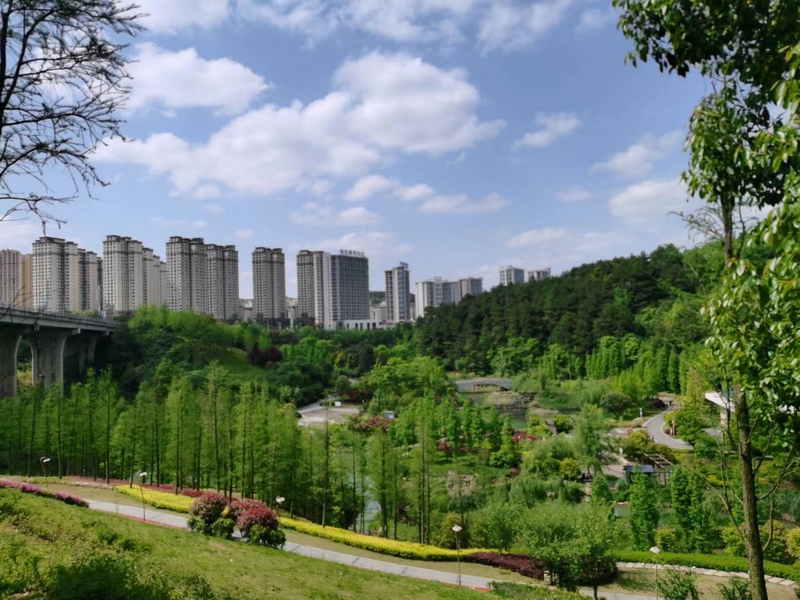 國家稅務總局貴州雙龍航空港經(jīng)濟區(qū)一景。