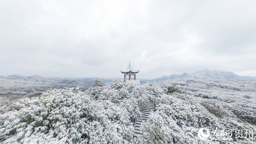 航拍雪后的百里杜鵑景區(qū)。人民網(wǎng)記者 涂敏攝