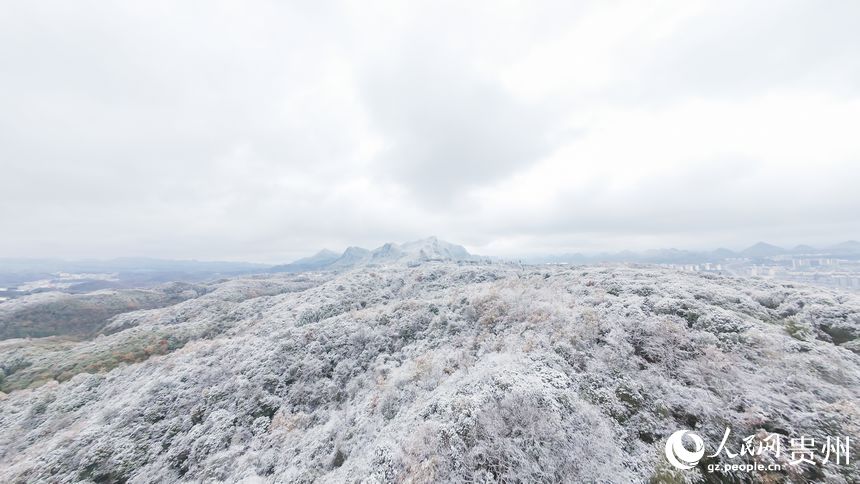 航拍雪后的百里杜鵑景區(qū)。人民網(wǎng)記者 涂敏攝